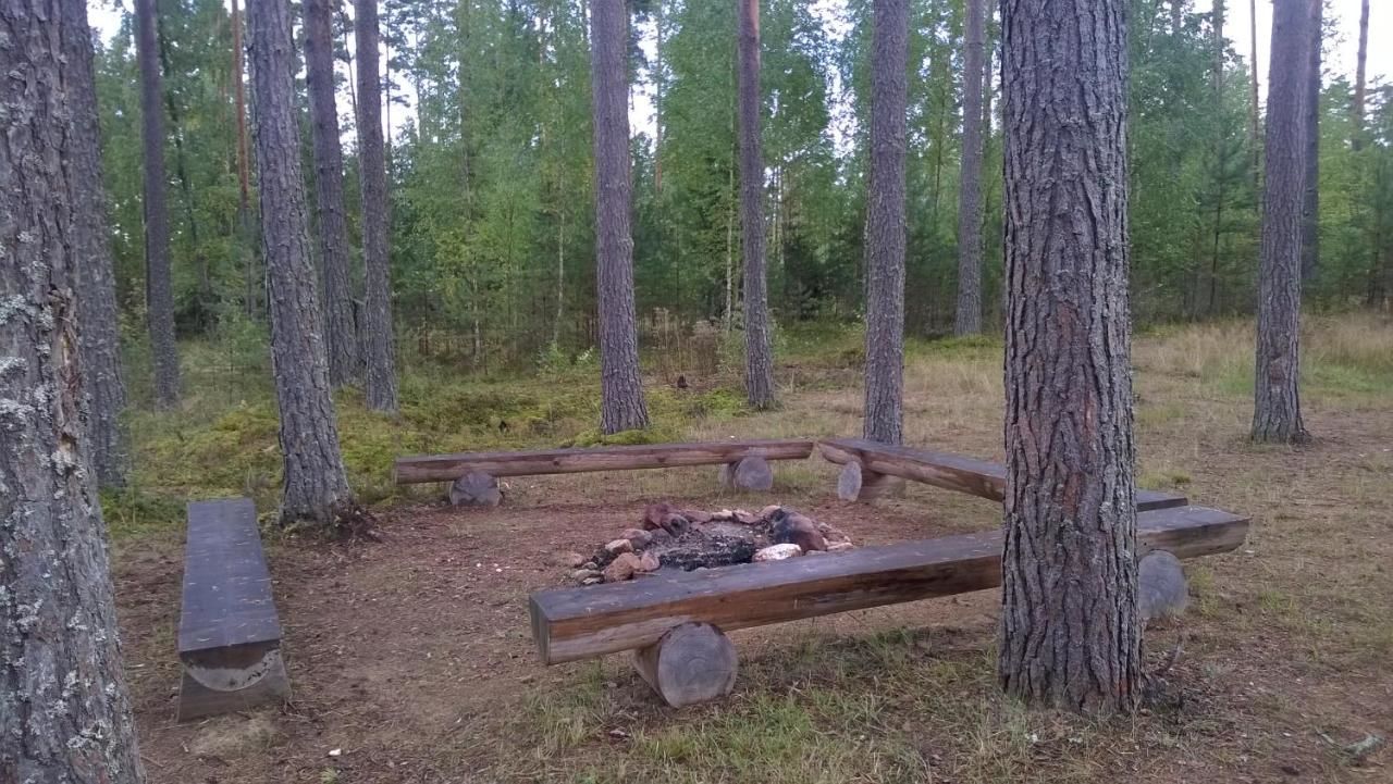 Дома для отпуска Peko Holiday Home Õrsava-12